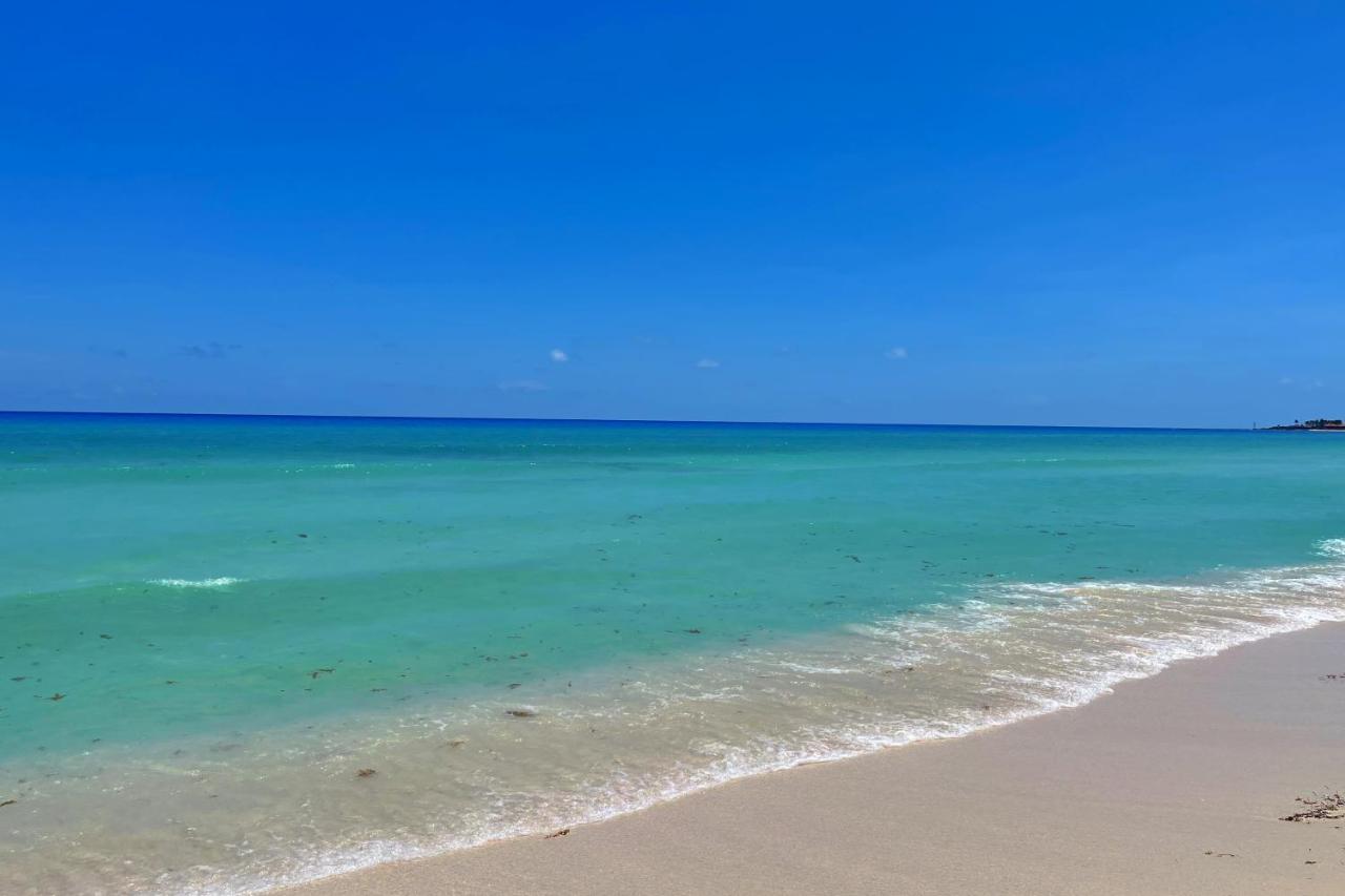 Renovated Studio In Cancun Beach At The Hotel Zone Экстерьер фото